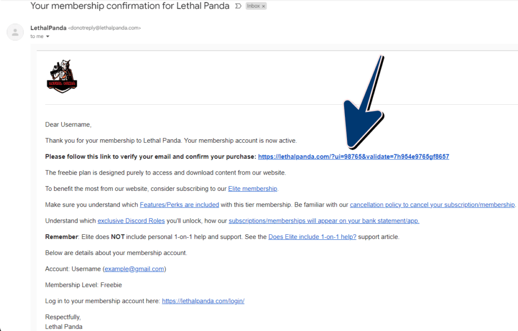Example of the confirmation email from LethalPanda to verify your email address